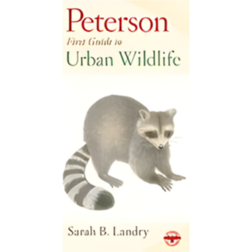 Peterson First Guide to Urban Wildlife Peterson First Guide to Urban Wildlife