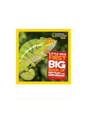 Little Kids First Big Book of Reptiles and Amphibians