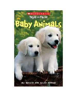 Baby Animals