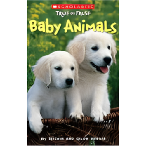 Baby Animals