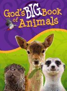 God's Big Book of Animals God's Big Book of Animals