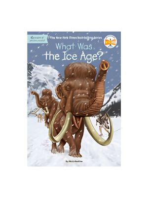 What Was the Ice Age? What Was the Ice Age?