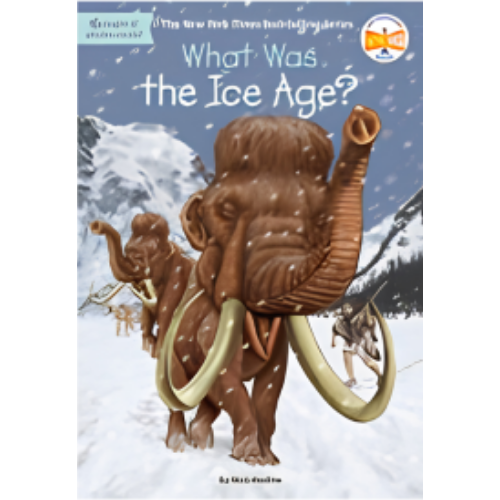 What Was the Ice Age? What Was the Ice Age?