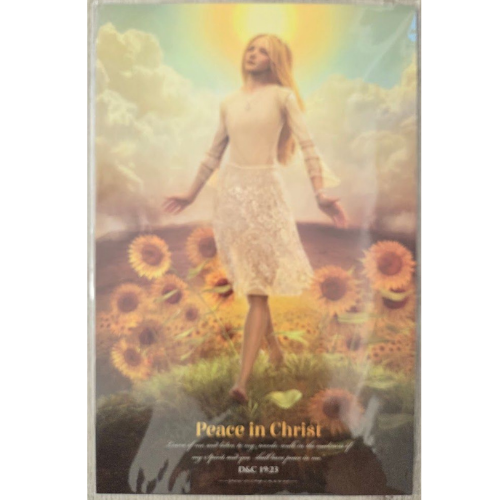 Peace In Christ Poster 11x17