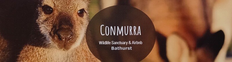 Conmurra Bumper Sticker
