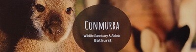 Conmurra Bumper Sticker