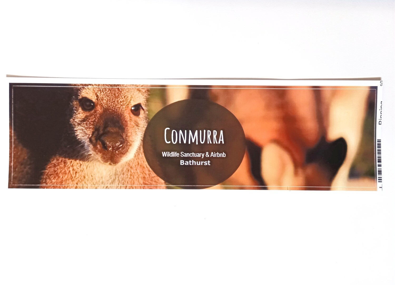 Conmurra Bumper Sticker