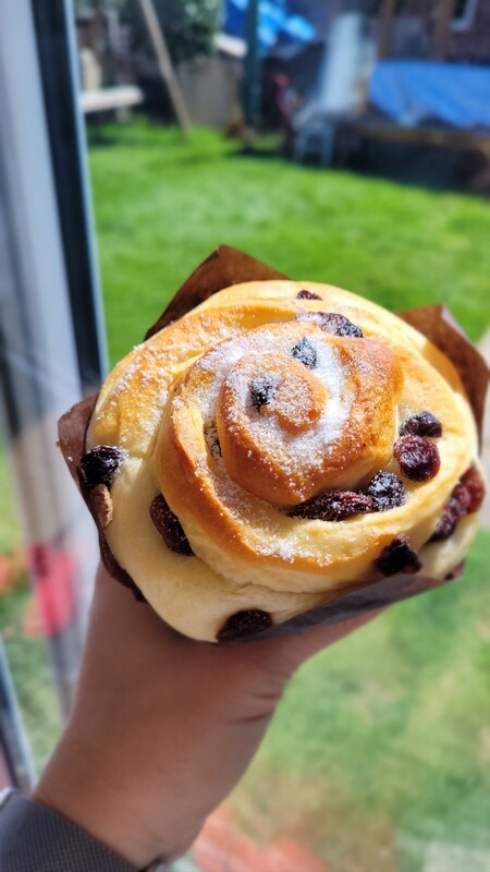 Currants and Raisins Bun