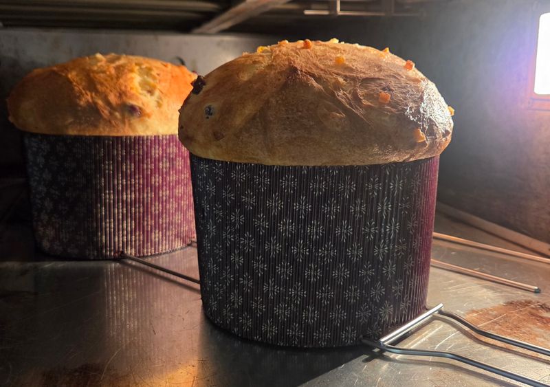 Raisins Panettone 🎄
