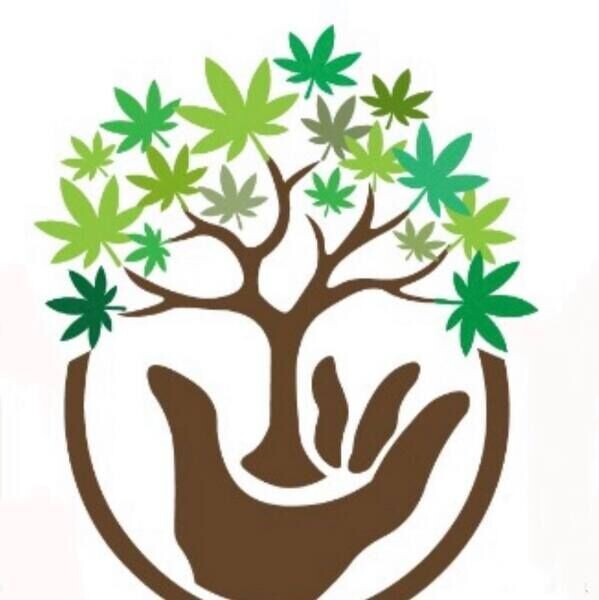 Tree Life - Cannabis Dispensary