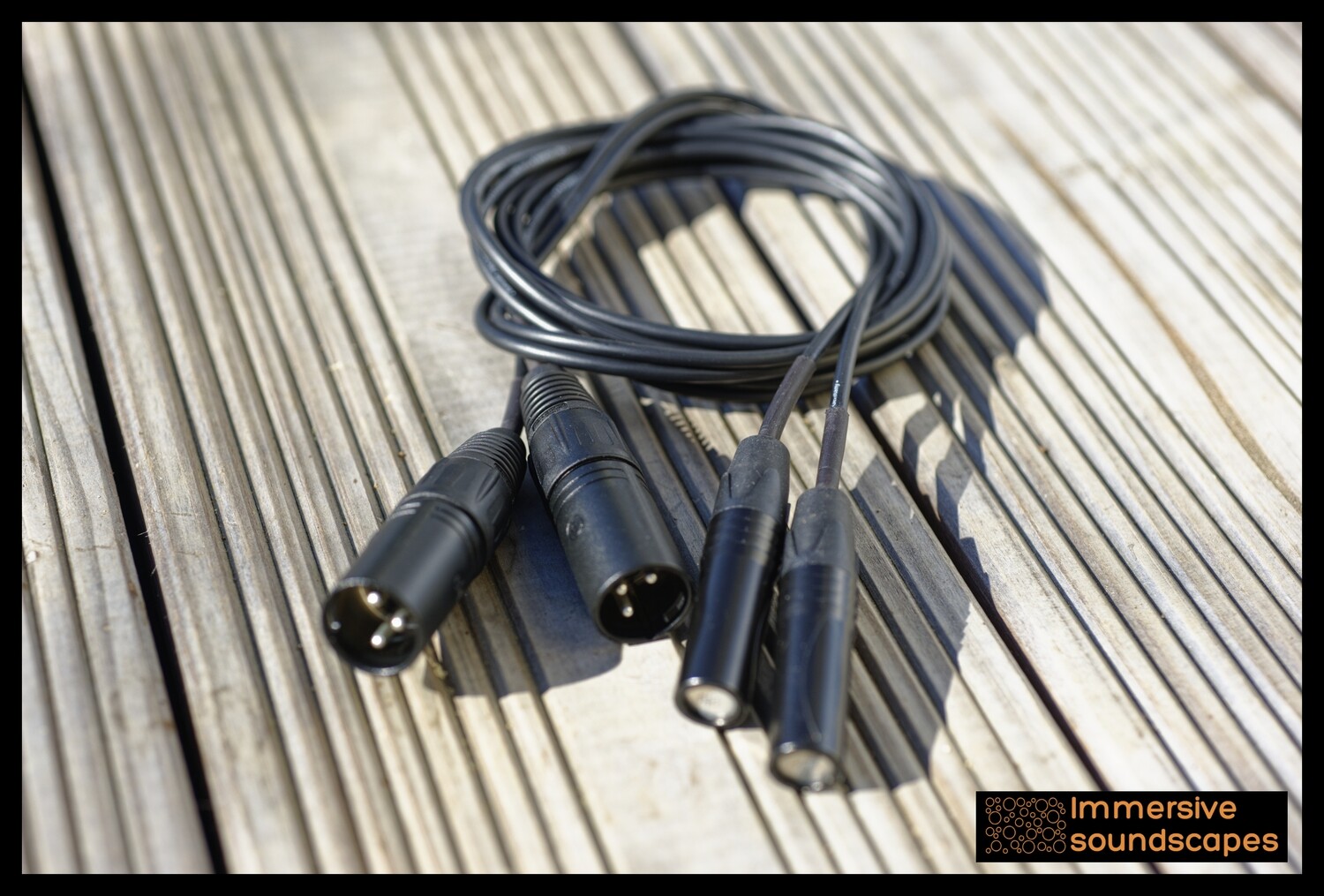 EarSight - Stereo pair - XLR (48V) - 3m cable Version by IMMERSIVE SOUNDSCAPES
