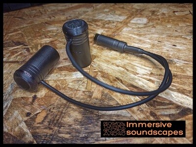 Adapter for PIP mics to work on XLR (48V) Recorder