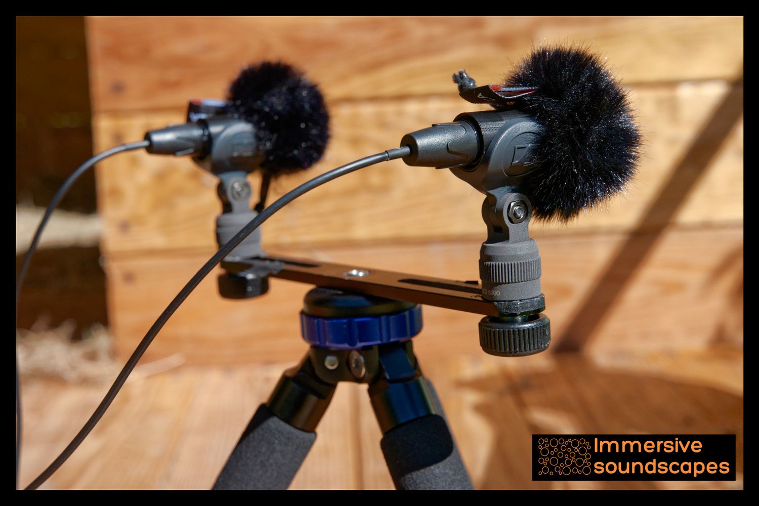 EARSIGHT STANDARD V1 Stereo pair