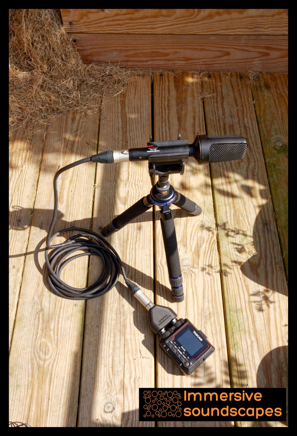 XLR5 (Stereo) to Recorder adapter