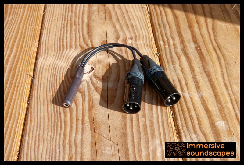 XLR to PIP adapter immersive soundscapes