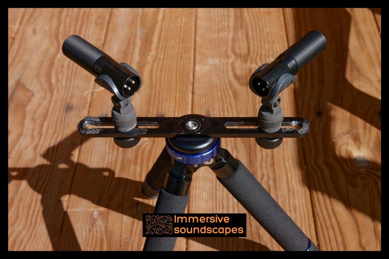 EARSIGHT THUMB/BBG PAIR - Omnidirectionnel (pour Rycote BBG)