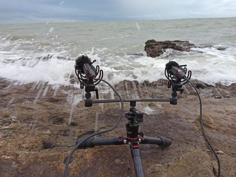 EARSIGHT STANDARD V2 Paire stéréo