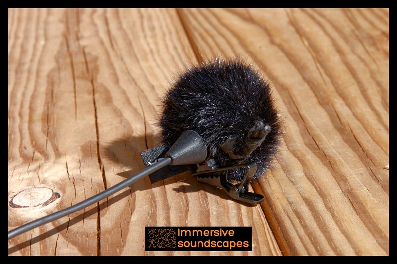 Earsight microphones windshields field recording