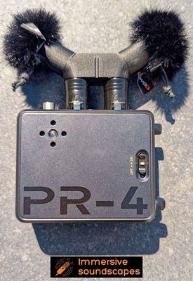 Earsight The One – Versatile Field Recording Mic | Immersive