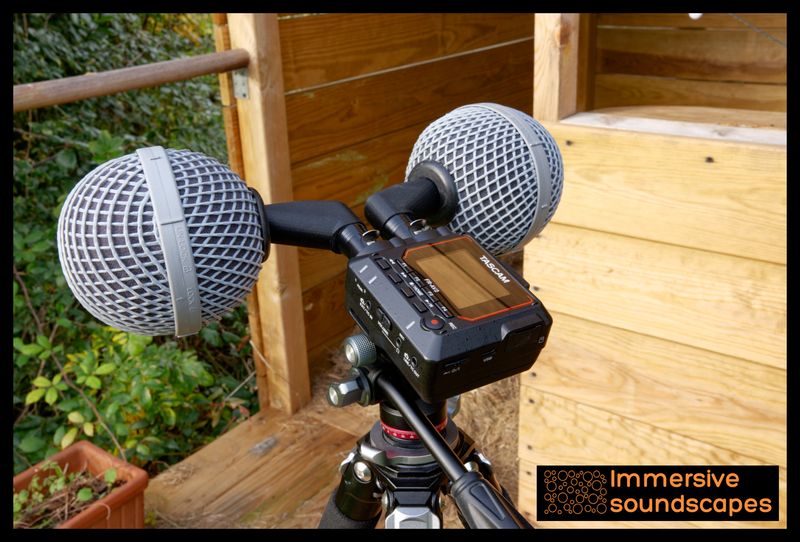 Earsight Thumb – Omnidirectionnel coudé (paire)