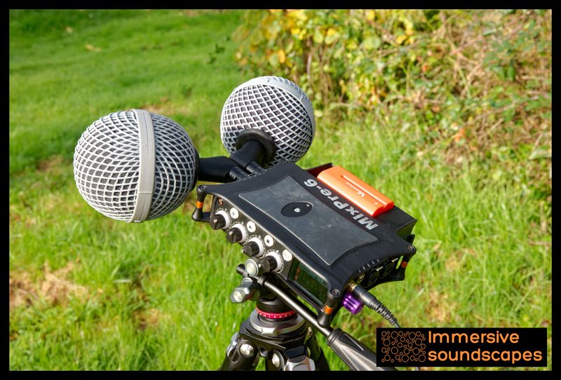 Paire d'oreillettes EARSIGHT - Cardioïde inclinée