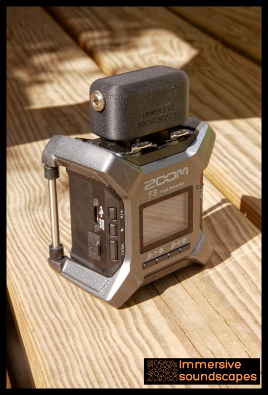 PIP converter Zoom F3