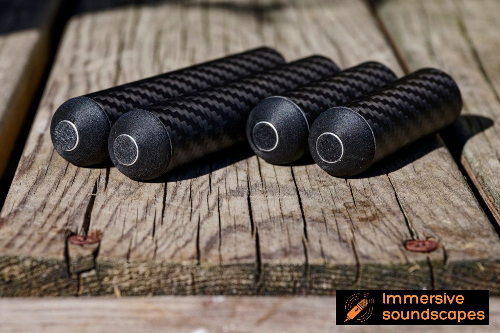 EARSIGHT PROFESSIONAL CARBON EDITION Stereo pair
