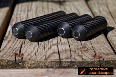 EARSIGHT PROFESSIONAL CARBON EDITION — Paire stéréo