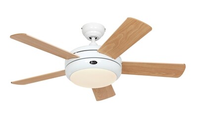 Titanium 105 WE-BU/KF ceiling fan by CASAFAN Ø105 light integrated and remote control included