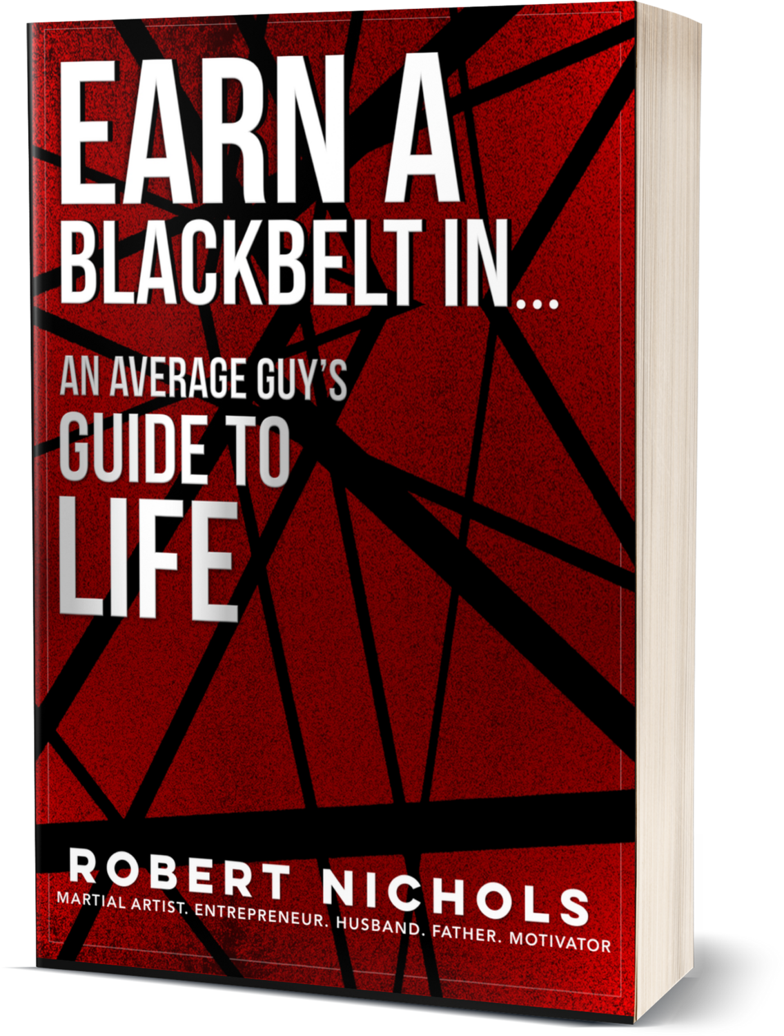 Earn A Blackbelt In...An Average Guy's Guide to Life Book