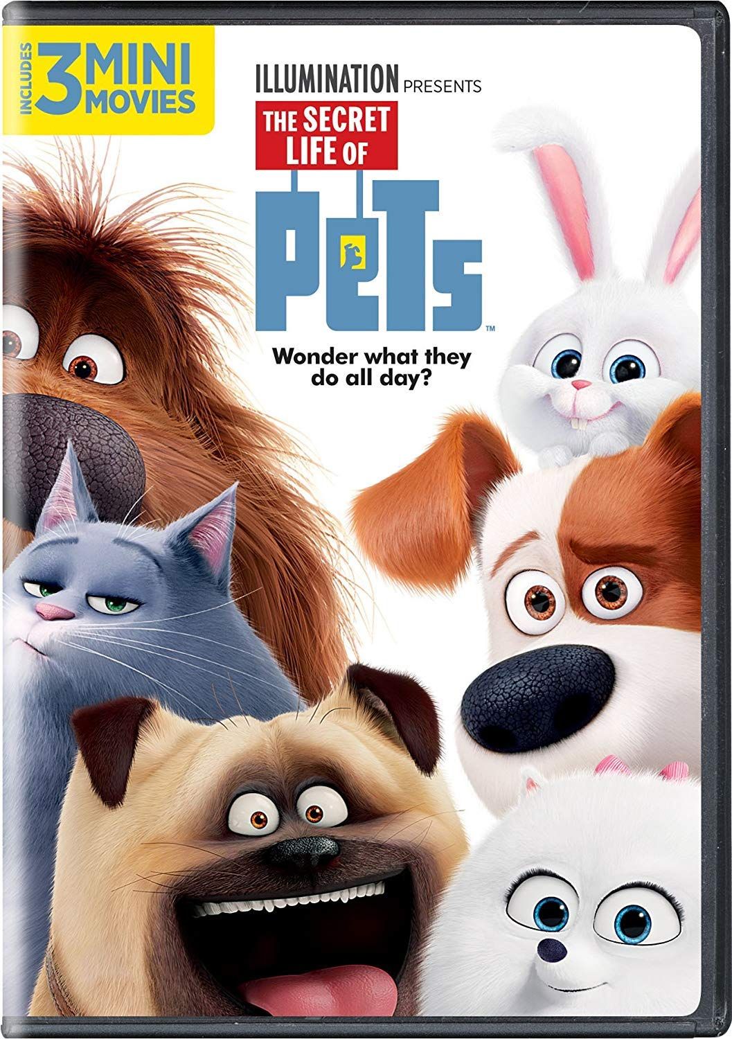The Secret Life of Pets [DVD] [DVD]
