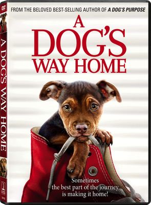 A Dog&#39;s Way Home [DVD] [DVD]