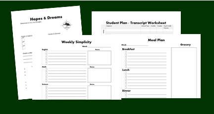 Essence of Simplicity Plan C Complete Planner + Videos Digital Download