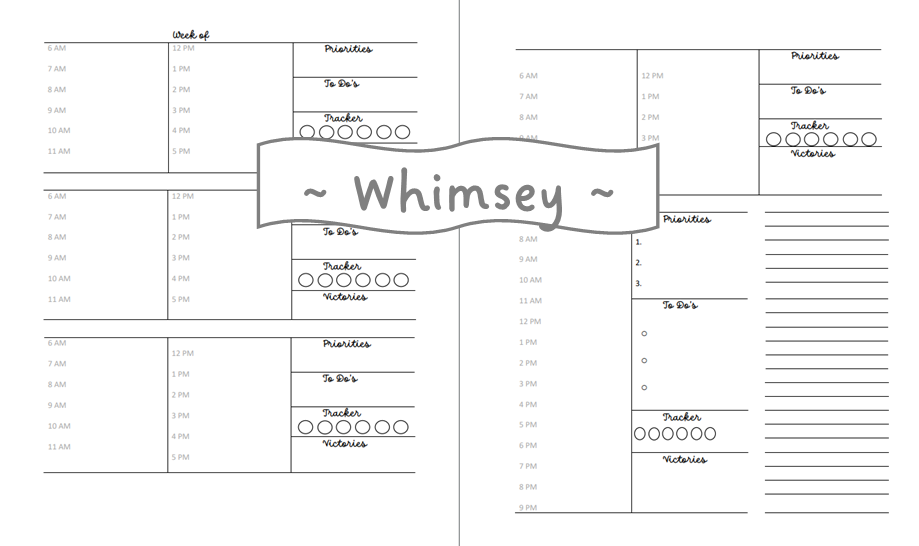 Whimsey Plan B Complete Planner + Videos Digital Download