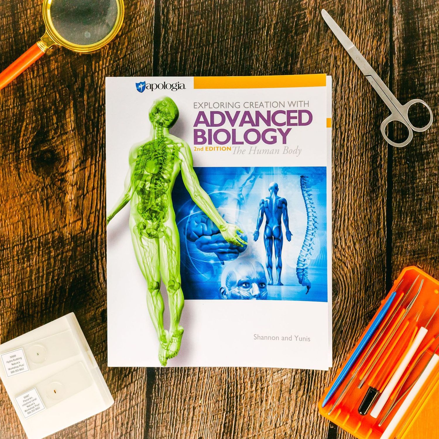 Anatomy and Physiology (St. Therese Mondays Session A & B 9:00 - 10:35am) 8th-12th