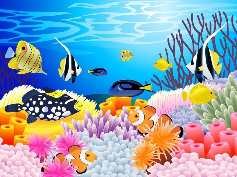 Ocean Animal Art and Science (Waynedale 10:30 AM) Preschool $200