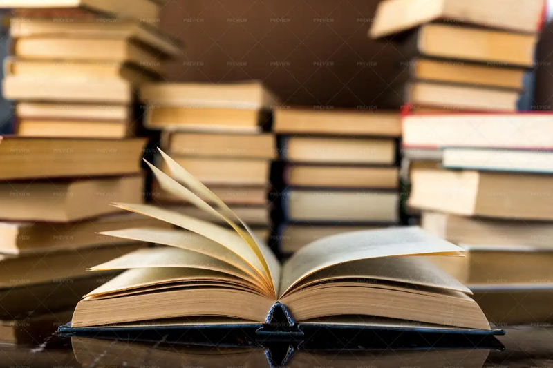 High School Literature: Reading, Analysis, and Critical Thinking (Sunny 10 AM) 9th-12th $200*