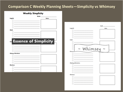 Plan C Weekly Planning Page Digital Download