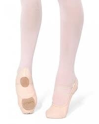 Hanami Canvas Ballet