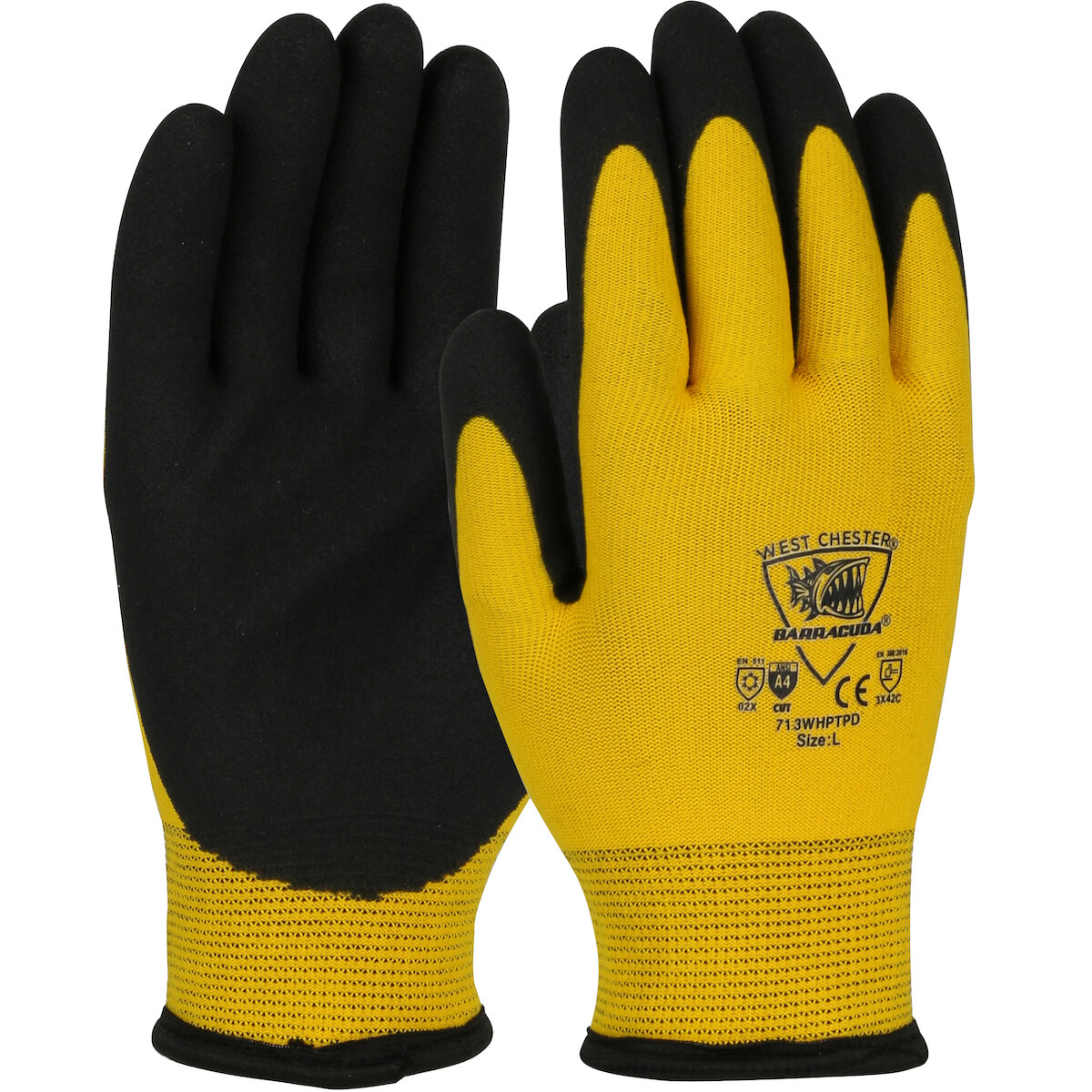 PG-713WHPTPD
