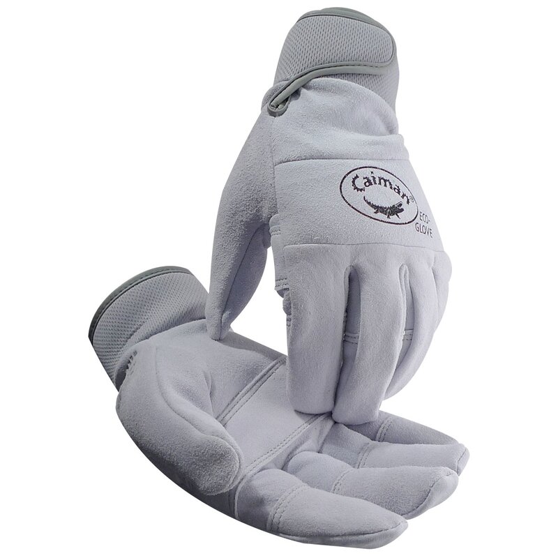 PG-2905-Caiman