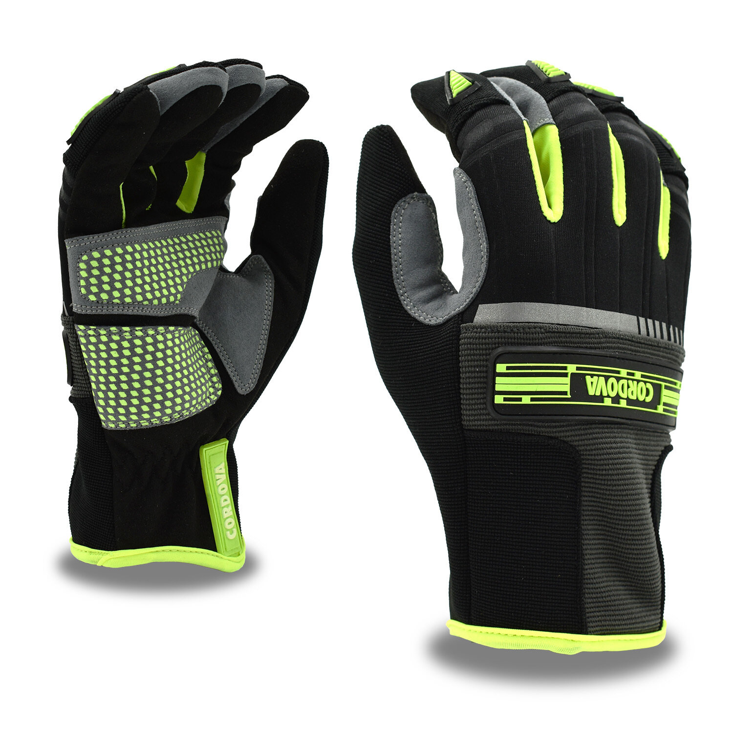 CS3