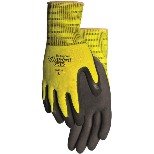 Radians-WG310S