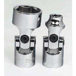 SNP31530