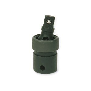 SNP36001