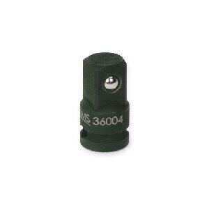 SNP36004