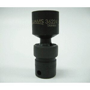 SNP36224