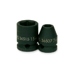 SNP36510