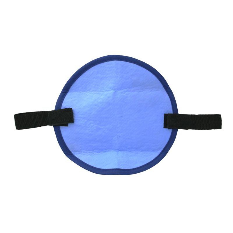 CHHP100