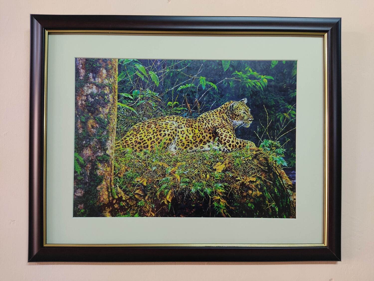 Fine Art Prints